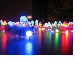 Leds